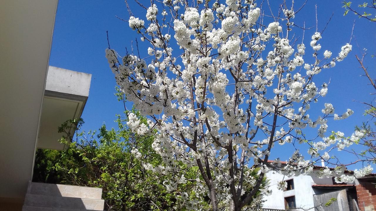 Apartments Vladimir Άγιος Νικόλαος Εξωτερικό φωτογραφία